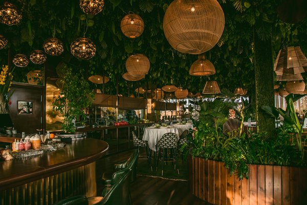 Découvrez les trésors du très vieux pineau lhéraud